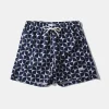 Hombre Edmmond Studios Pinwheel Classic Plain Navy